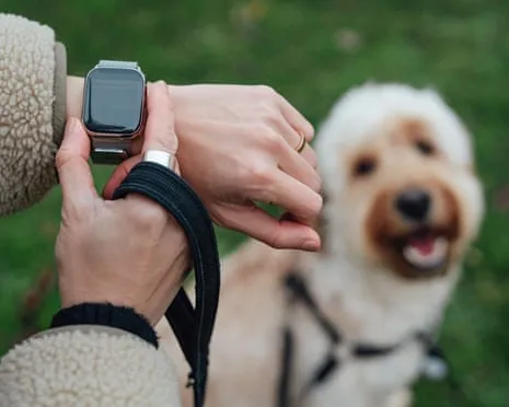 The Reality Concerning Smartwatches? Daily Existence Improves Without a Nagging Device on Your Wrist
